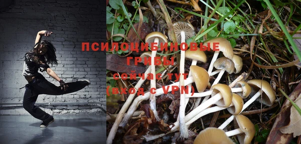 соль ск Алзамай