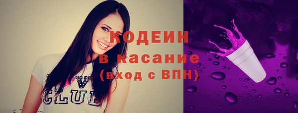 соль ск Алзамай