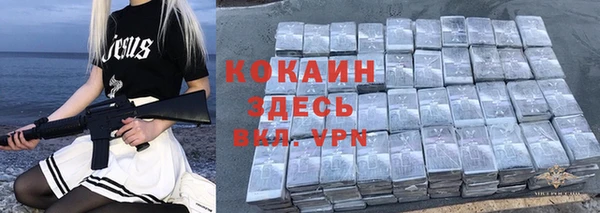 соль ск Алзамай