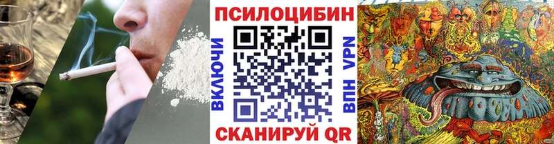 Псилоцибиновые грибы MAGIC MUSHROOMS  сколько стоит  Алексеевка 